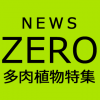 「NEWS ZERO」で桐谷美玲が多肉植物を特集！今なら期間限定で動画が見られます。