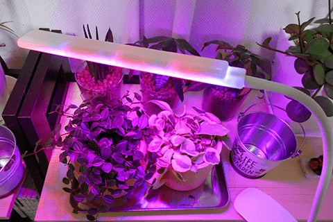 WAYCOM植物育成ライトの評価・レビュー。本当に効果があるのか検証して 